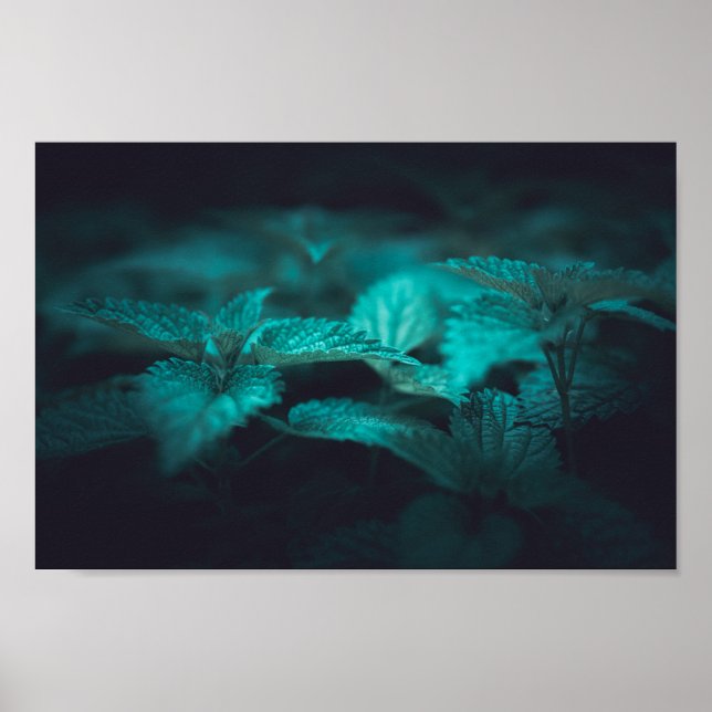 Poster Dark Moody Stinging Nature Photo (Frente)