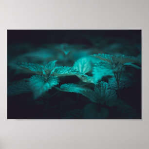 Poster Dark Moody Stinging Nature Photo