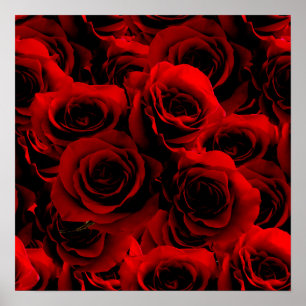 Poster Dark Red Roses For you