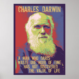 Póster Darwin 1
