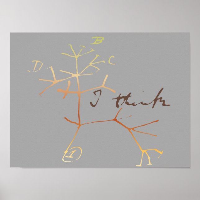 Póster Darwin, eu acho que árvore da vida (Frente)