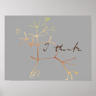 Póster Darwin, eu penso a árvore da vida