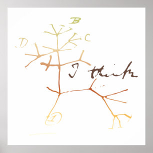 Poster Darwin, eu penso a árvore da vida