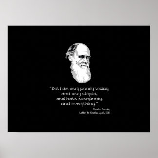 Poster Darwin: Hoje estou muito pobre
