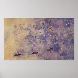 Poster das abelhas do espaço
