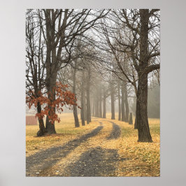 Poster das Árvores do outono