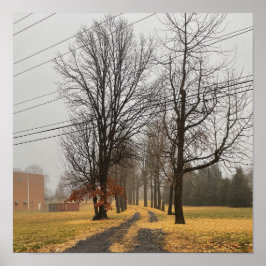 Poster das Árvores do outono