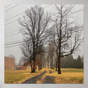 Poster das Árvores do outono