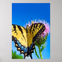 Poster das Asas do Amor