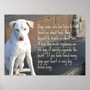 Poster das citações do cão - Erica Jong