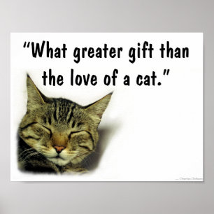Poster das citações do gato