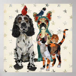 Poster das GARRAS, das PATAS & das PENAS