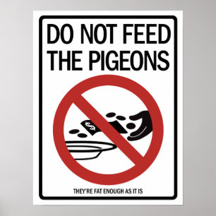 Poster das ofertas do pombo/pregador