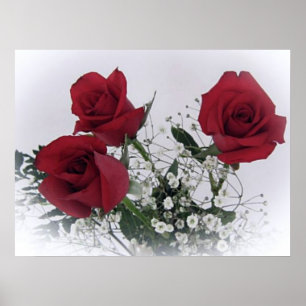 Poster das rosas vermelhas
