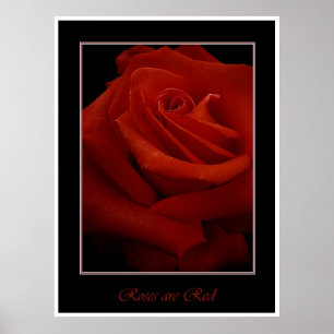 poster das rosas vermelhas