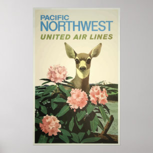 Poster das viagens vintage - os Estados Unidos