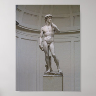 Póster David