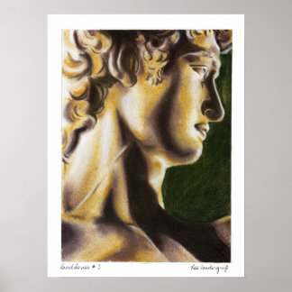 Póster David série 3 por Lee Vandergrift