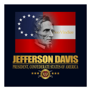 Póster Davis (patriota do sul)