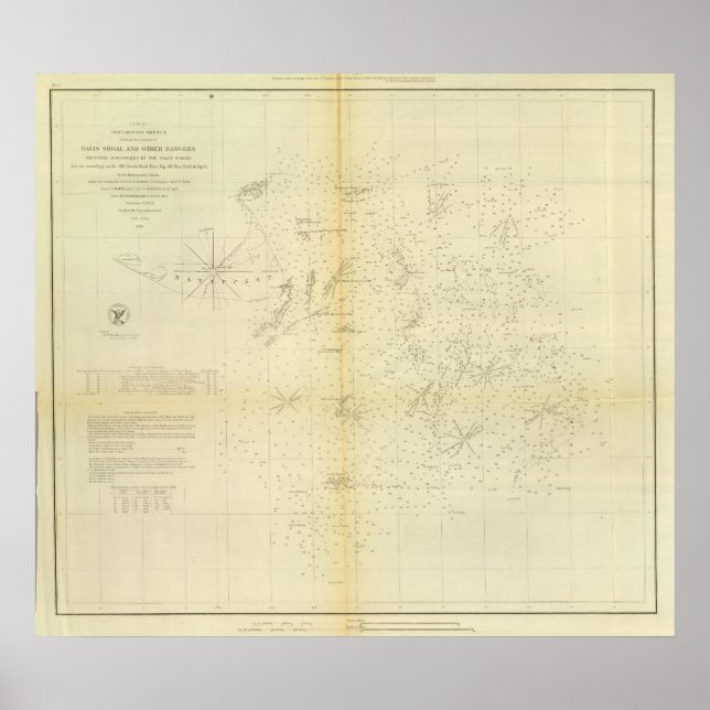 Póster Davis' Shoal (Frente)