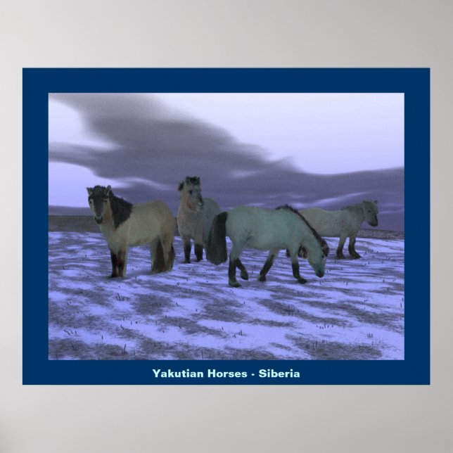 Poster Dawn Horse (Frente)