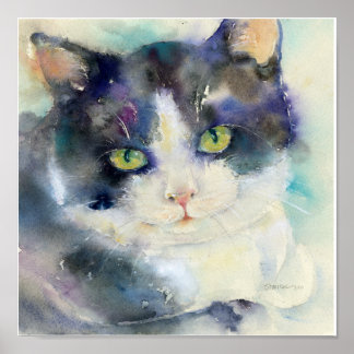 Poster Daydreamer Cat