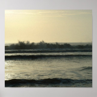 Póster Daytona Waves