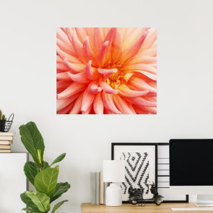 Poster Dazzling Dahlia Flower