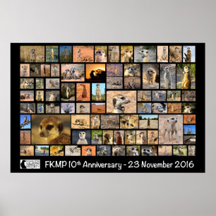 Poster de 10 anos do FKMP - selecione seu tamanho