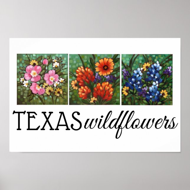 poster de 16,5" x 11" do Texas Wildflower (Frente)