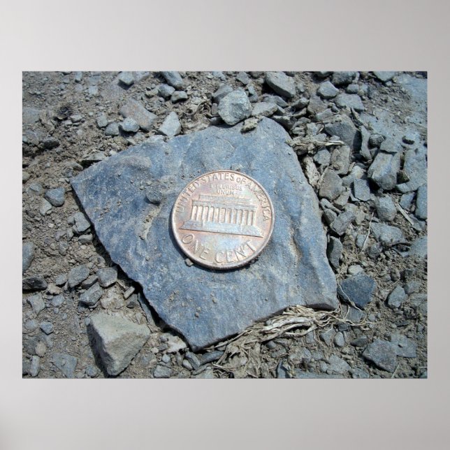 poster de 1980 American Penny (Frente) (Frente)