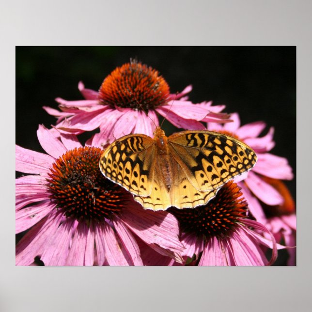 Poster de 19x15" (Frente)