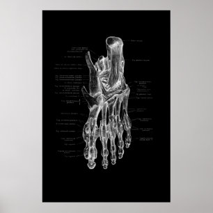 Poster de 24x36"