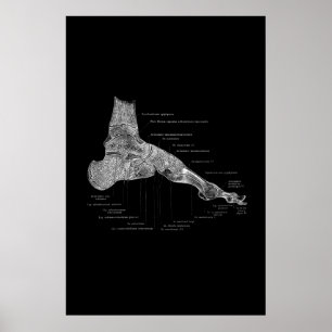 Poster de 24x36"
