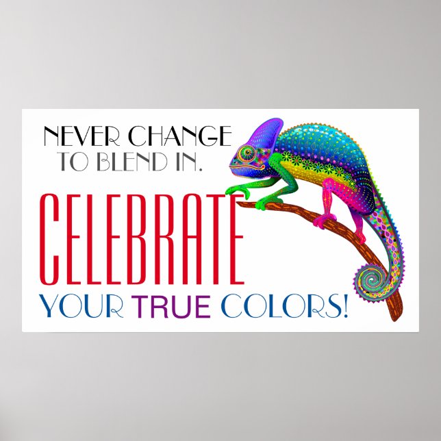 Poster de aceitação de incentivo à diversidade (Frente)