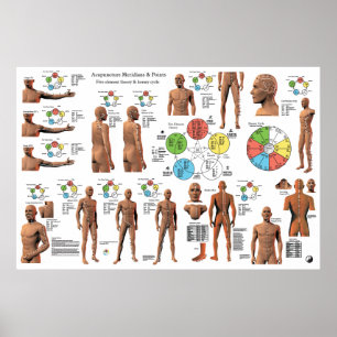 Poster de Acupuntura Meridian Points e Pathways