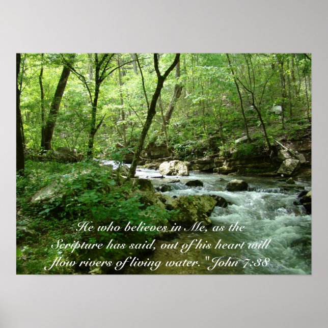 Poster de água viva (Frente)