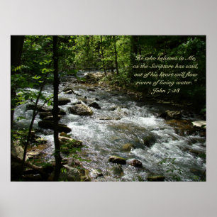 Poster de Água Viva II