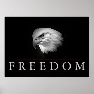 Poster de Águia Preta para Liberdade Branca Sem Ca
