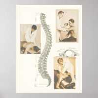 Poster de Ajuste Spinal da Chiropracinha