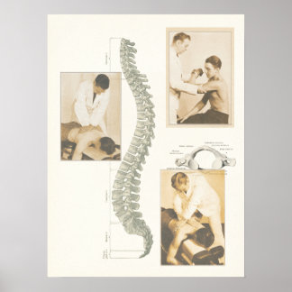 Poster de Ajuste Spinal da Chiropracinha