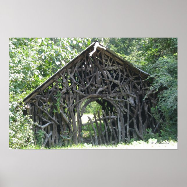 Poster de algodão da vinha (Frente)