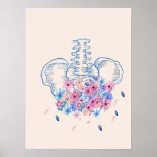 Poster de anatomia da pélvis médica floral