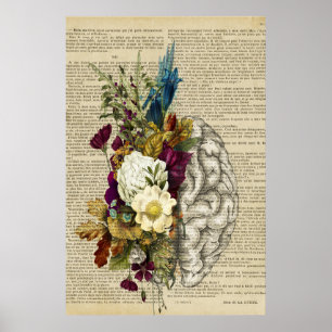 poster de anatomia do cérebro floral médico
