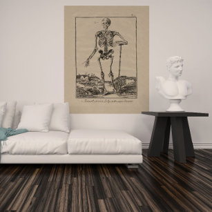 Poster de Anatomia Humana do Esqueleto Antiquado