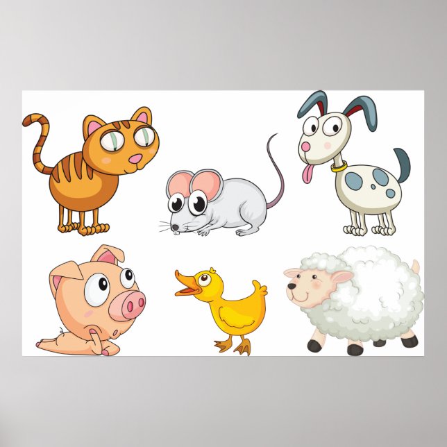 Poster de animais engraçados (Frente)