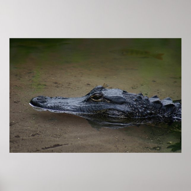 Poster de aninhamento do gerador - 36x24 - outros  (Frente)