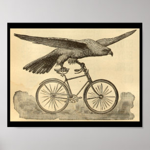 poster de Anúncio da Bicicleta de Águia 1894