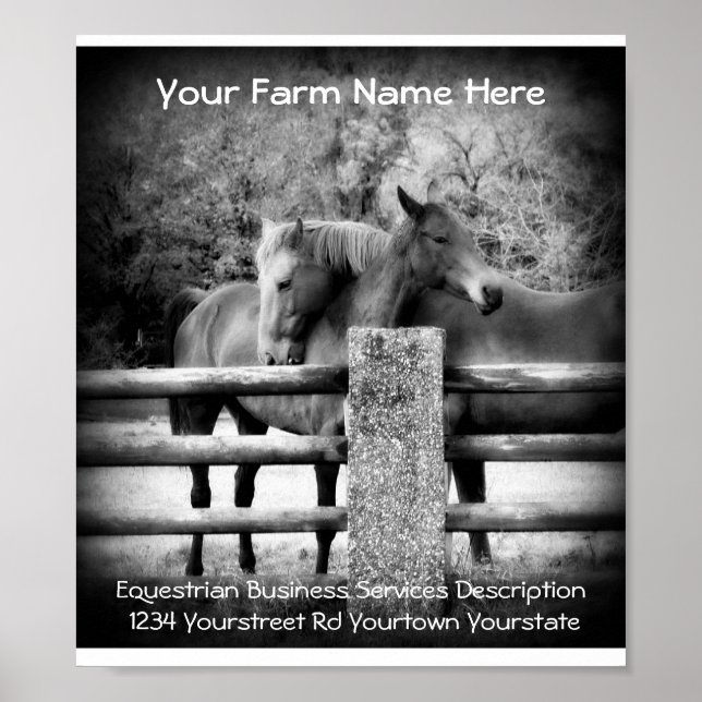 Poster de anúncio de serviços de cavalos (Frente)