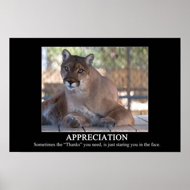 Poster de Apreciação (Frente)